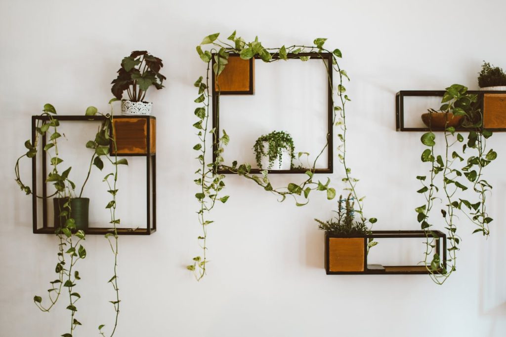Décoration écologique