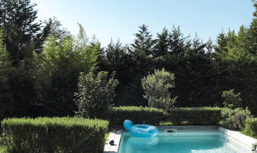 Piscine creusée vs piscine hors sol : comment choisir la meilleure option pour votre jardin