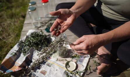 découvrez l'univers fascinant des herbes avec notre guide complet. apprenez à les cultiver, à les utiliser en cuisine et à bénéficier de leurs vertus médicinales. une invitation à explorer la richesse aromatique des plantes pour sublimer vos plats et améliorer votre bien-être.