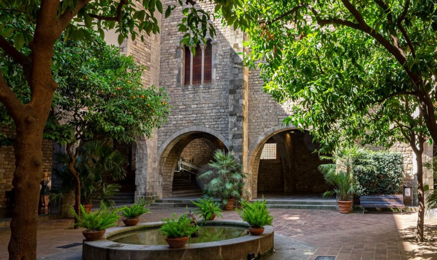 Conseils pour créer un jardin méditerranéen facile à entretenir