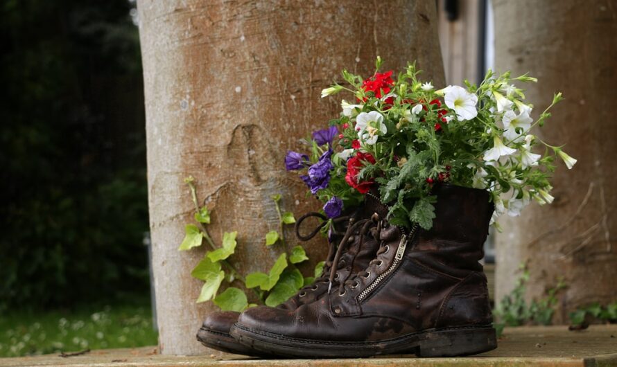 Quelles fleurs planter au printemps pour un jardin coloré toute l’année