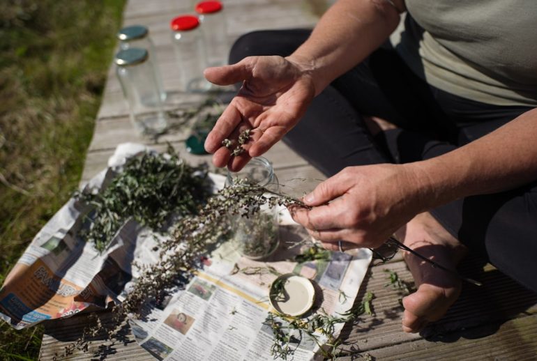 découvrez l'univers fascinant des herbes avec notre guide complet. apprenez à les cultiver, à les utiliser en cuisine et à bénéficier de leurs vertus médicinales. une invitation à explorer la richesse aromatique des plantes pour sublimer vos plats et améliorer votre bien-être.