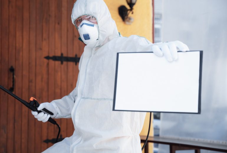 diagnostic termites (2)