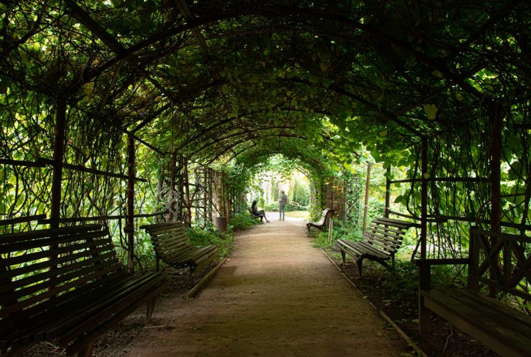 jardin d’ombre