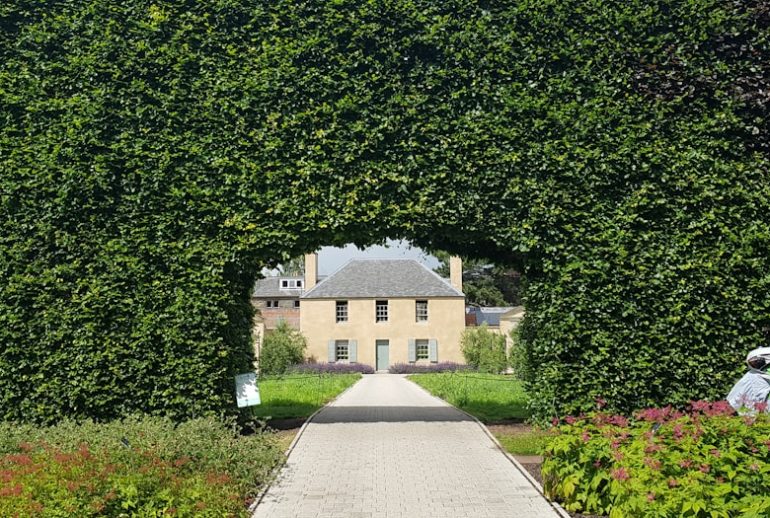 découvrez les avantages des haies écologiques : des solutions durables pour embellir votre jardin tout en préservant la biodiversité. informez-vous sur les meilleures pratiques pour créer un espace vert respectueux de l'environnement.